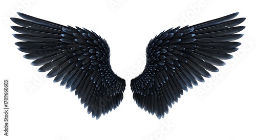 Pair of Dark Black Angel Wings.
