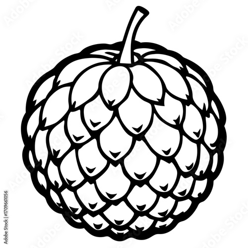 A detailed black and white silhouette of a ripe custard apple fruit isolated on white background