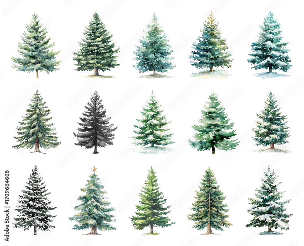 Obraz premium Diverse illustrated evergreen trees collection.