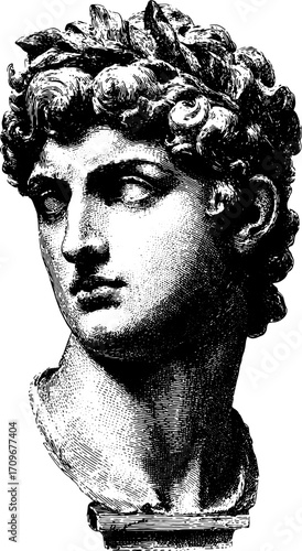 Classical bust sculpture head with engraving texture. Black and white vintage style, detailed marble vector illustration.