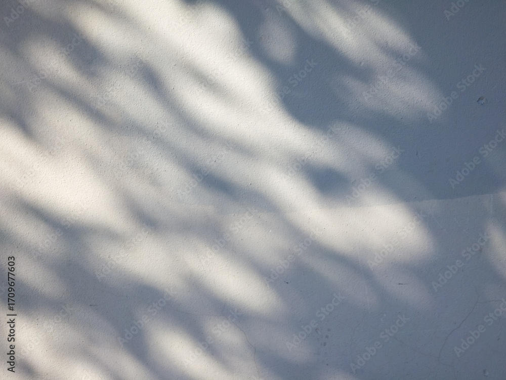Obraz premium Soft tree shadow patterns on gray concrete wall outdoors