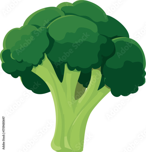 broccoli simple clean vector vegetable illustration