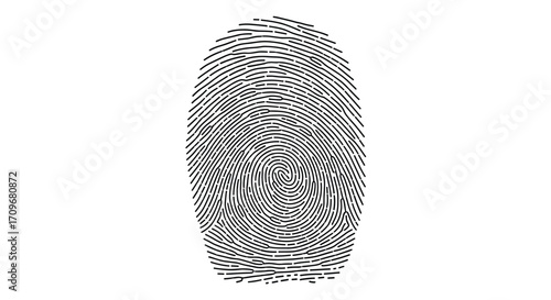 Detailed abstract representation of a fingerprint with intricate ridge patterns and unique swirls.