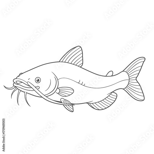 Simple Line Art Outline Drawing of a Catfish on White Background
