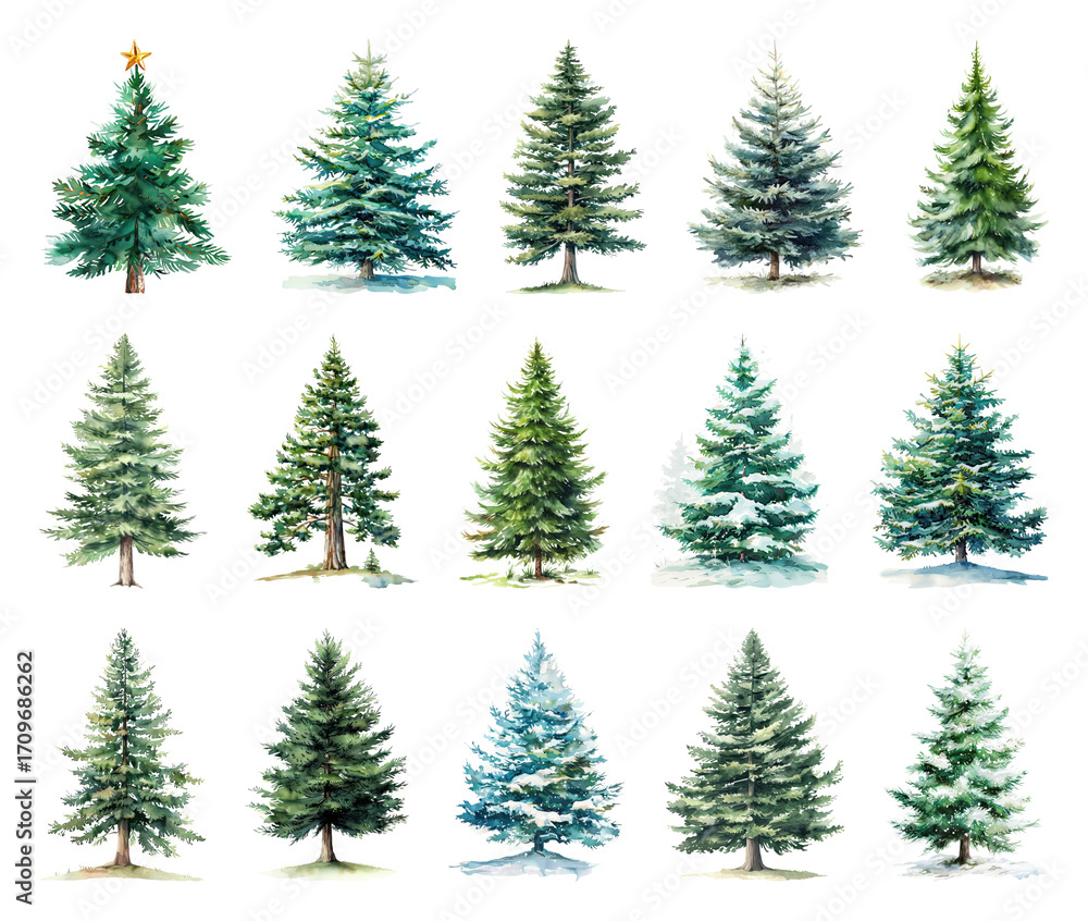 Obraz premium Watercolor evergreen trees collection.
