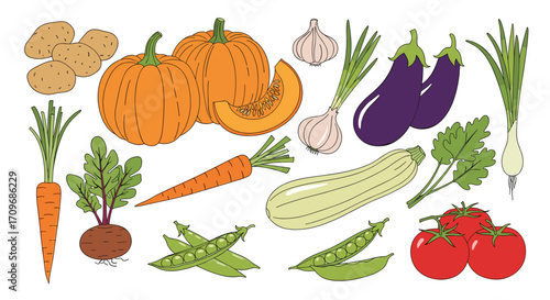 A vibrant collection of fresh garden vegetables including pumpkins carrots and tomatoes.