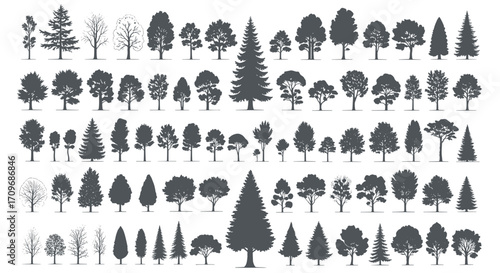 Collection of vector silhouette trees and plants for landscape design.