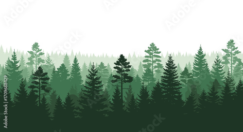 An expansive view of a dense evergreen forest receding into the distance with layers of trees fading into a misty sky.