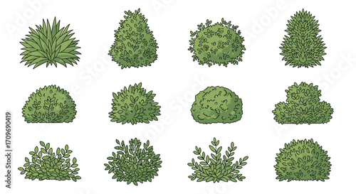Collection of varied green ornamental shrubs and bushes used for landscaping and garden design.