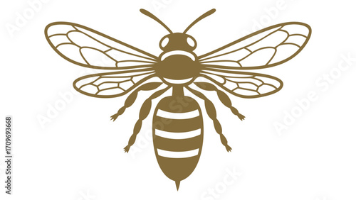 bee on white background