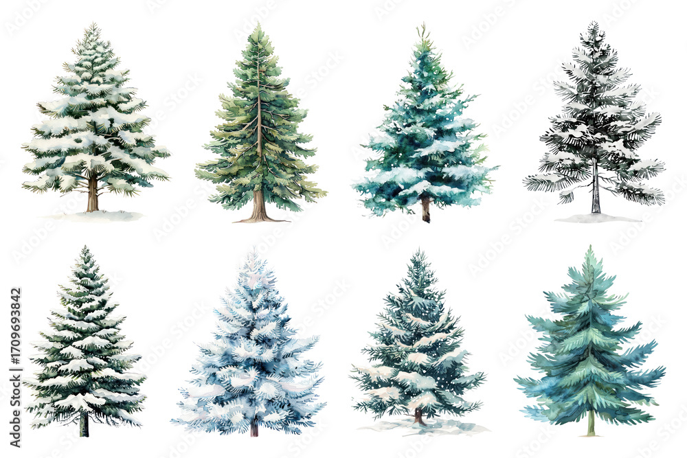 Obraz premium Watercolor evergreen trees winter