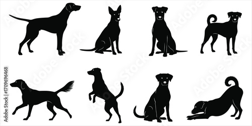 Eight black dog silhouettes in various poses and breeds on white background Keywords: dog, silhouette, animal, pet, canine