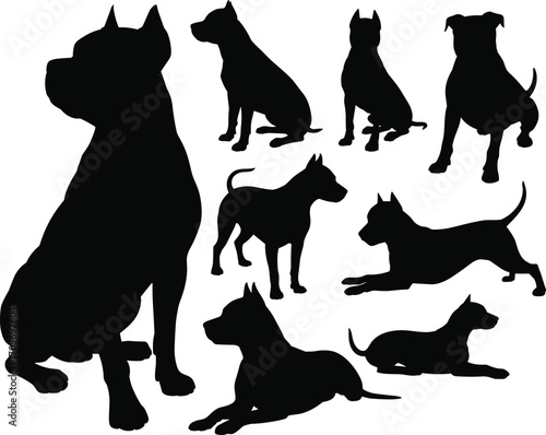 Multiple Pitbull Dog Silhouettes in Different Poses on White Background canine animal