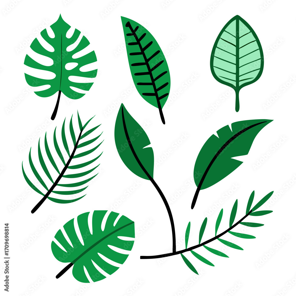 Fototapeta premium Tropical palm leaves, Palm, monstera, banana leaf, hibiscus, isolated on white background.