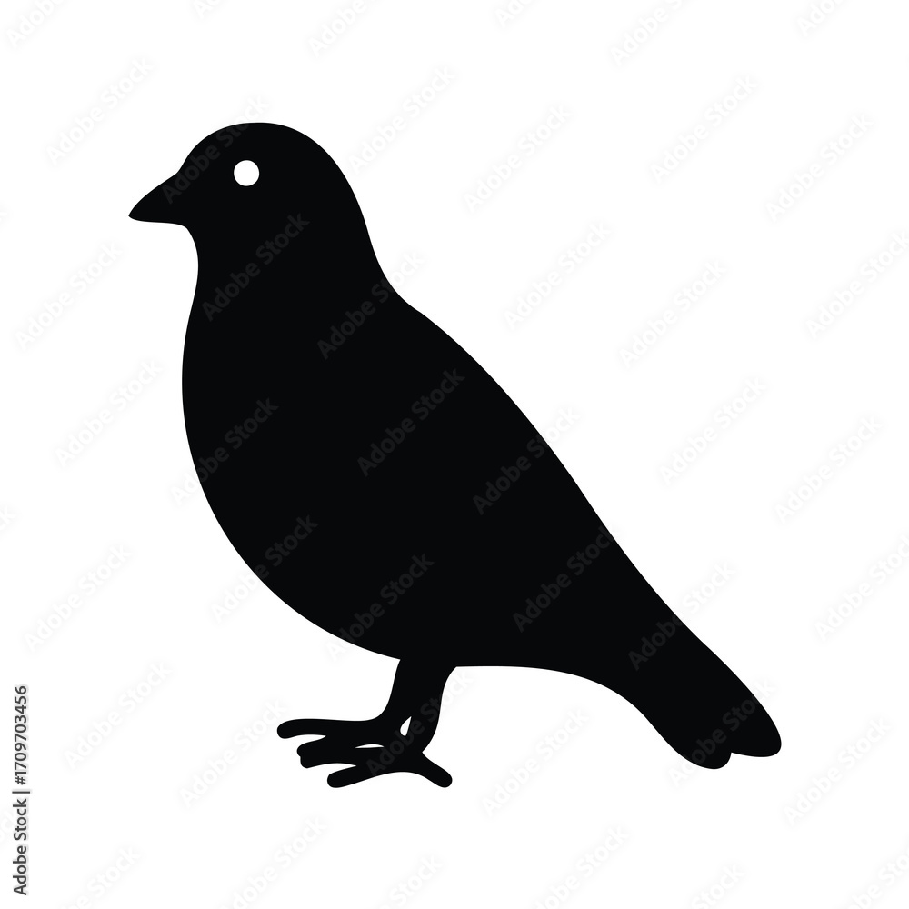 Fototapeta premium Black Silhouette of a Bird with Small Eye Standing on Ground