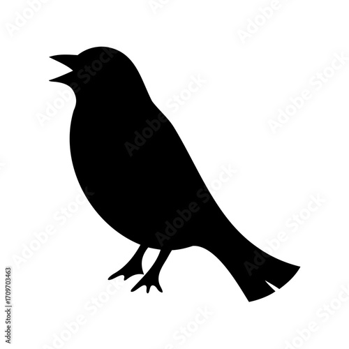 Black silhouette of a singing bird on a white isolated background