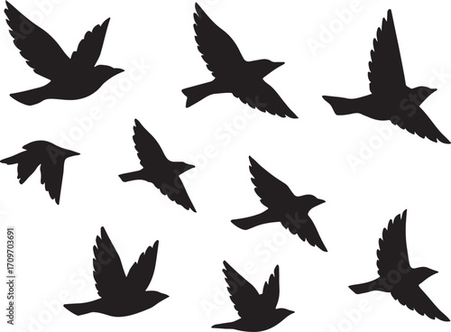 Flock of black birds in flight silhouette vector, dramatic design for nature, logo, and art.