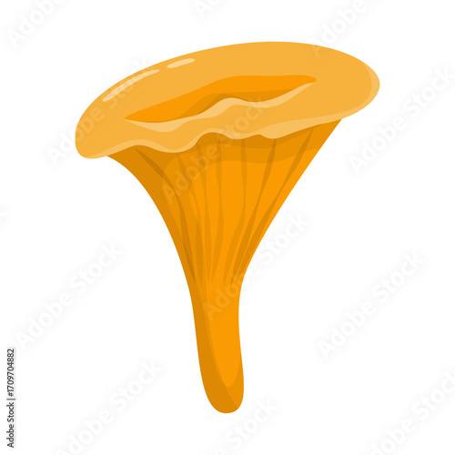 Illustration of a single orange chanterelle mushroom on a white background