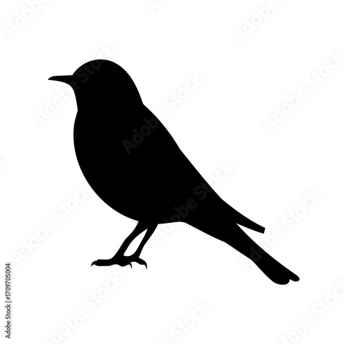 Elegant Silhouette of a Bird Perched Serenely on a White Background