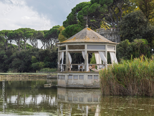 Torre del Lago Puccini, Viareggio, Lucca, Tuscany, Italy: landscape of the Lake of Massaciuccoli with a gazebo and the tower of an ancient villa in the pine forest