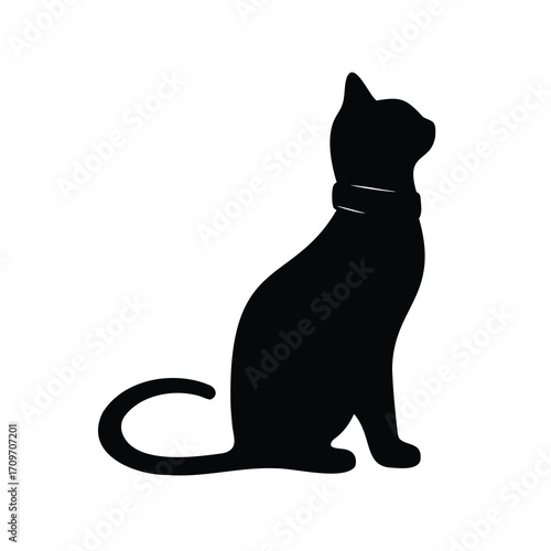Black cat silhouette with collar sitting calmly and looking away from viewer