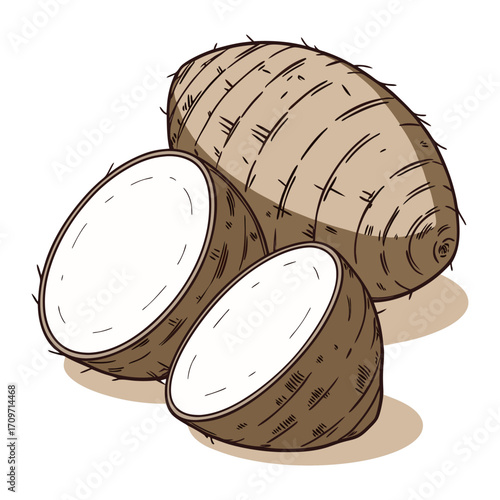 Taro Root Vegetable Whole and Halved on Black Backdrop Nutrition Rich Food Plant Based Diet on whaite background