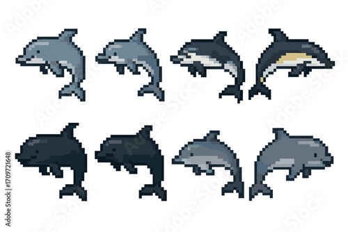 Marine animals pixel art icon set. featuring various dolphin species in pixel style.