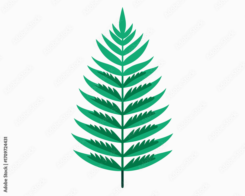 Stylized green fern frond with a white background Stylized green fern frond with a white background