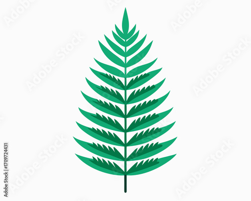 Stylized green fern frond with a white background