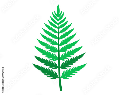 Stylized green fern leaf illustration on white background