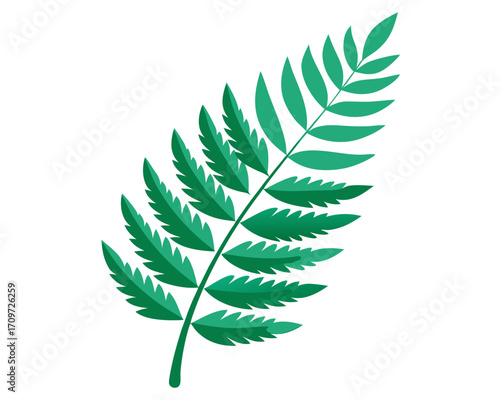 Green fern frond with detailed leaves on a white background