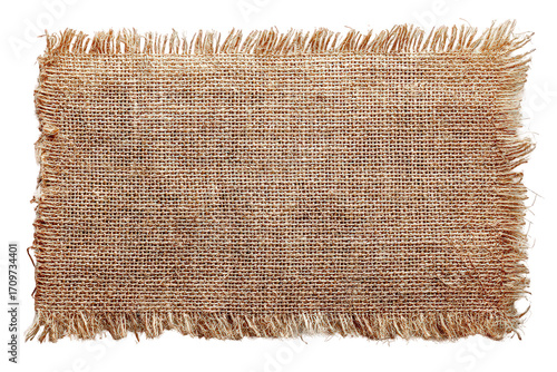 Beige Textured Rectangular Rug