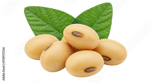 Isolated soybeans pile with leaves, edible beans, nutritious grains, and healthy agriculture
