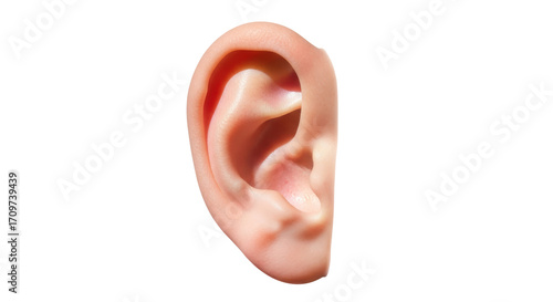 Obraz na płótnie Isolated human ear close-up anatomy detailed, part of head for hearing or listen