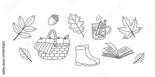 Autumnal seasonal elements of plants, vegetable and fruit with colorful leaves, line coloring. Fall flat graphic design for seasonal greeting harvest festival. Vector