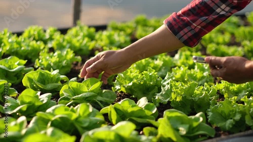 Farmer use Mobile phone or Smart phone collects data and researches the organic vegetable garden fields in order to obtain good and large yields. The use of technology helps in farming.