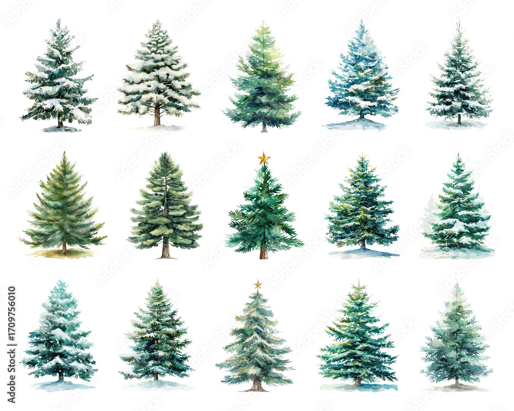 Fototapeta premium Variety of snow-covered evergreens