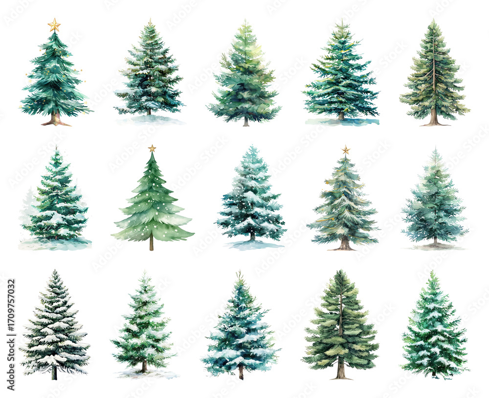 Fototapeta premium Watercolor evergreen trees winter collection.