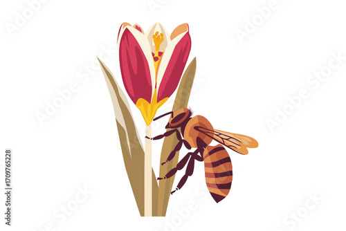 Bee Pollinating Early Spring Flower spring isolated