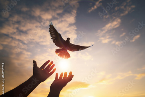 Freedom soars high, a hand releasing a dove into the sky. 
