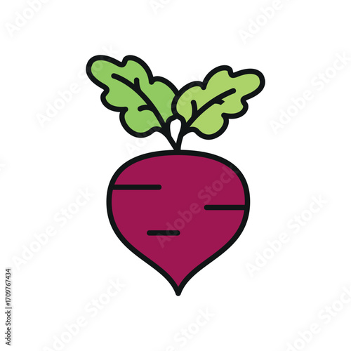 Beetroot icon in color with line for vegetable, eco, and healthy food projects.