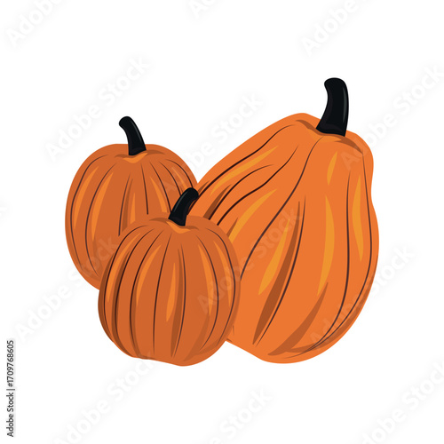 Orange pumpkins on a white background, harvest festival - Vector illustration
