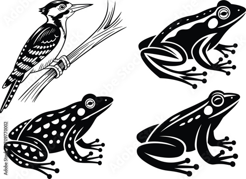 Woodpecker and frog illustrations, vector animal icons, wildlife clipart set, nature design art, amphibian outline pack, bird illustration set, forest creature graphic collection