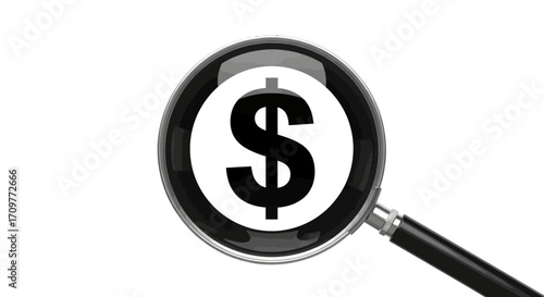Magnifying glass focused on a dollar sign, symbolizing financial analysis or wealth.