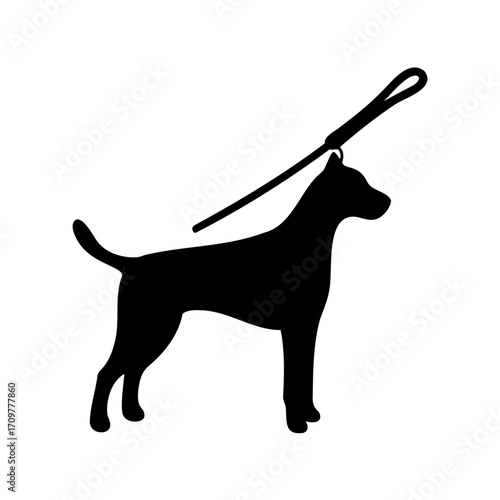 Silhouette of a sleek dog standing with a leash draped over its back