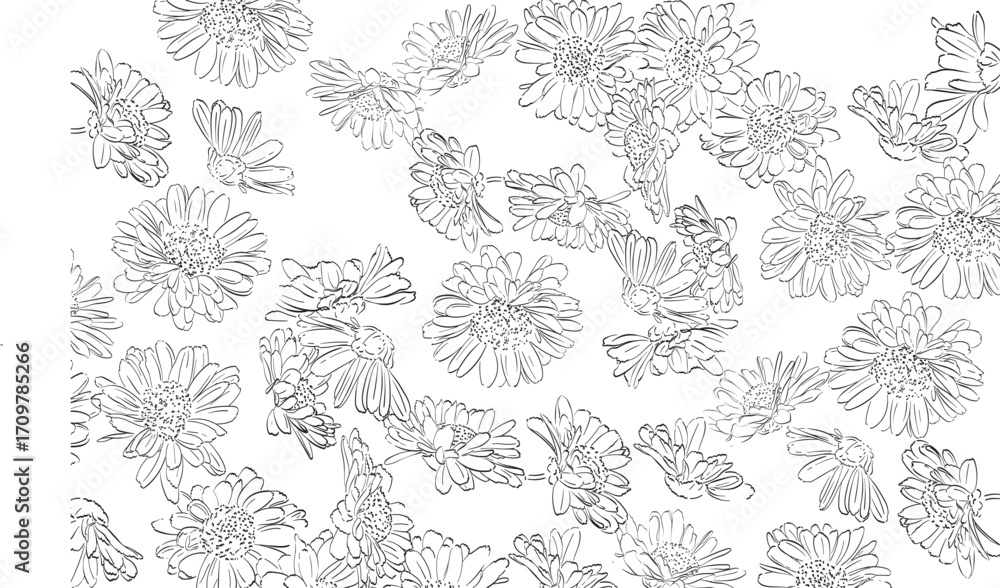 Fototapeta premium set of black and white flowers. Natural background in minimal style