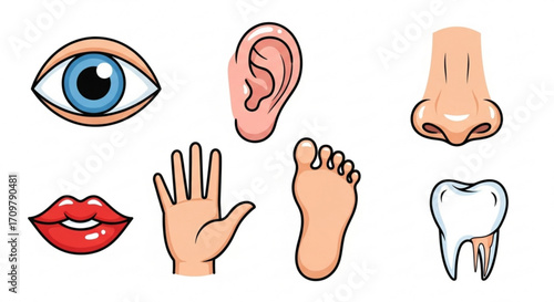 Illustration showing various human body parts including eye ear nose mouth hand foot and tooth created with generated ai