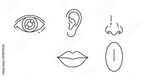 Illustration of five human senses including sight, hearing, smell, taste, and touch in black outline created with generated ai