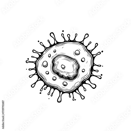 Detailed sketch of a cellular microorganism displaying intricate membranous structures and small