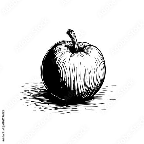 Elegant apple sketch evoking natural simplicity with its detailed shading and artistic expression